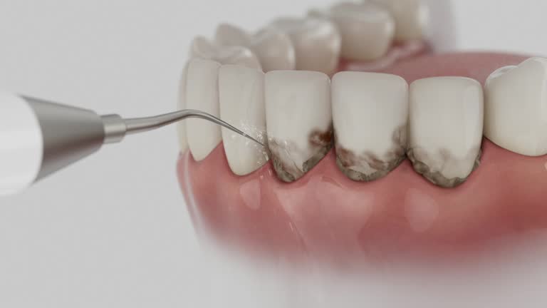 Reliable Dental contractor in Park City, UT by Dentist Open Now
